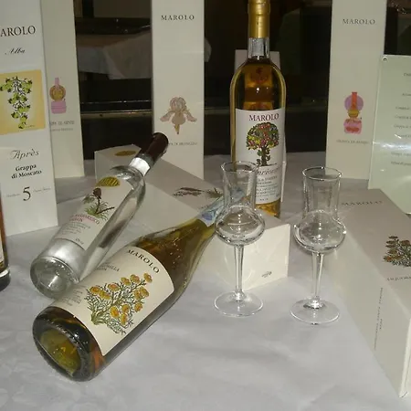 Alpino מלון ברגה