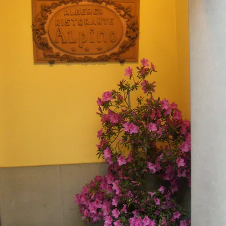 Alpino מלון ברגה