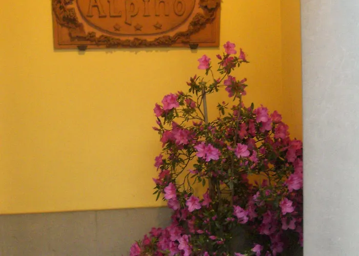 Alpino Ξενοδοχείο Barga